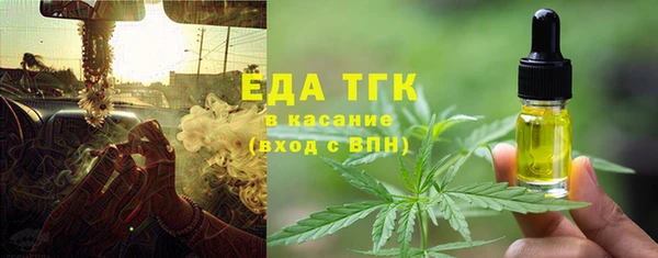 мет Алексин