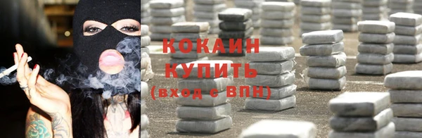 хмурый Алзамай