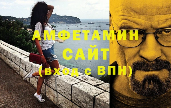 мет Алексин