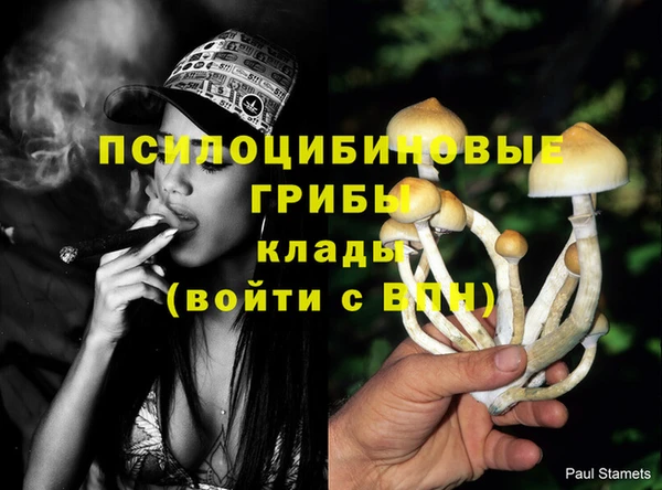 спиды Алексеевка