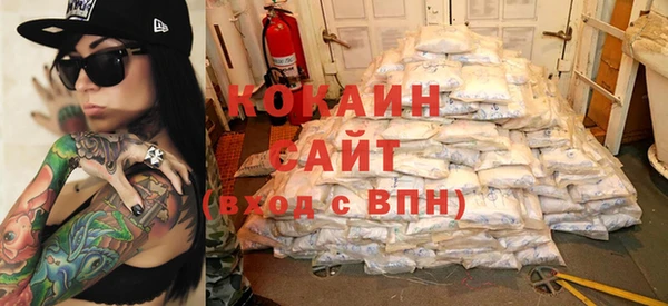 хмурый Алзамай