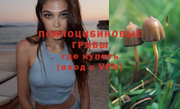 спиды Алексеевка
