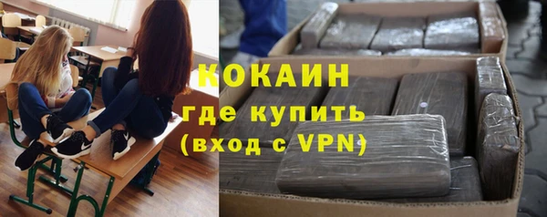 хмурый Алзамай