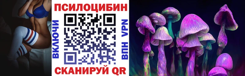где можно купить   Арск  Псилоцибиновые грибы мухоморы 